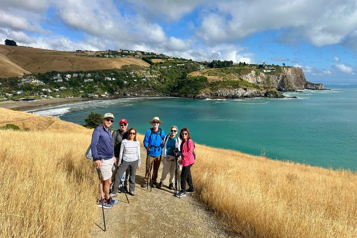 Full-Day Godley Head Coastal Hike with Picnic Lunch - Photo 1 of 23